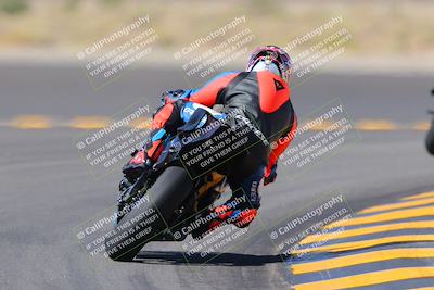 media/Oct-08-2022-SoCal Trackdays (Sat) [[1fc3beec89]]/Turn 11 Backside (1145am)/